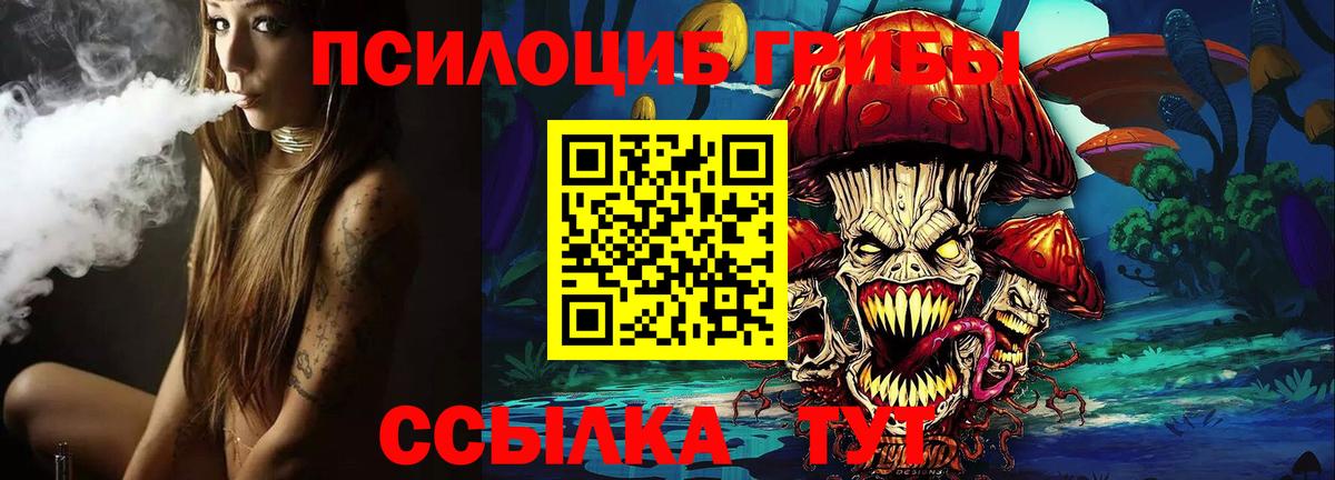 Галлюциногенные грибы Cubensis Кохма