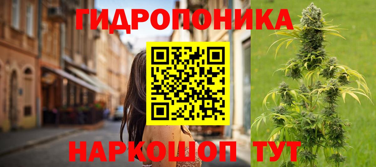 Шишки марихуана Amnesia Кохма